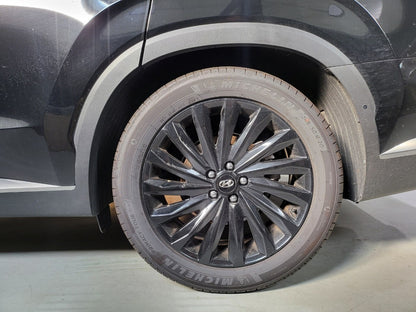 LOWERING SPRING F&R 4pcs for (2020-2025) PALISADE (LX2) [STORM SPRING, S. KOREA]