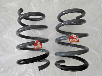 Kia Carnival YP 2015-2021 Rear 1" Lift Spring Bigfoot Anti-Sagging, Heavy Duty