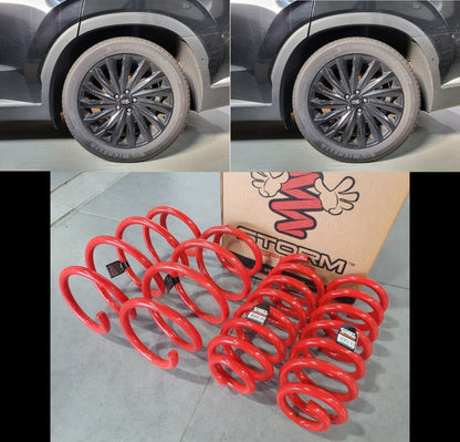 LOWERING SPRING F&R 4pcs for (2020-2025) PALISADE (LX2) [STORM SPRING, S. KOREA]